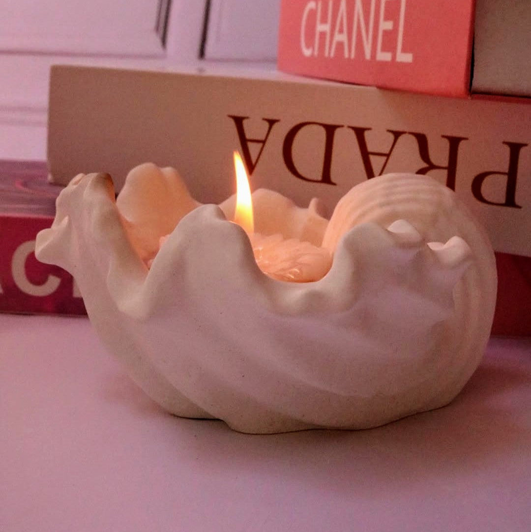 Vela de concha