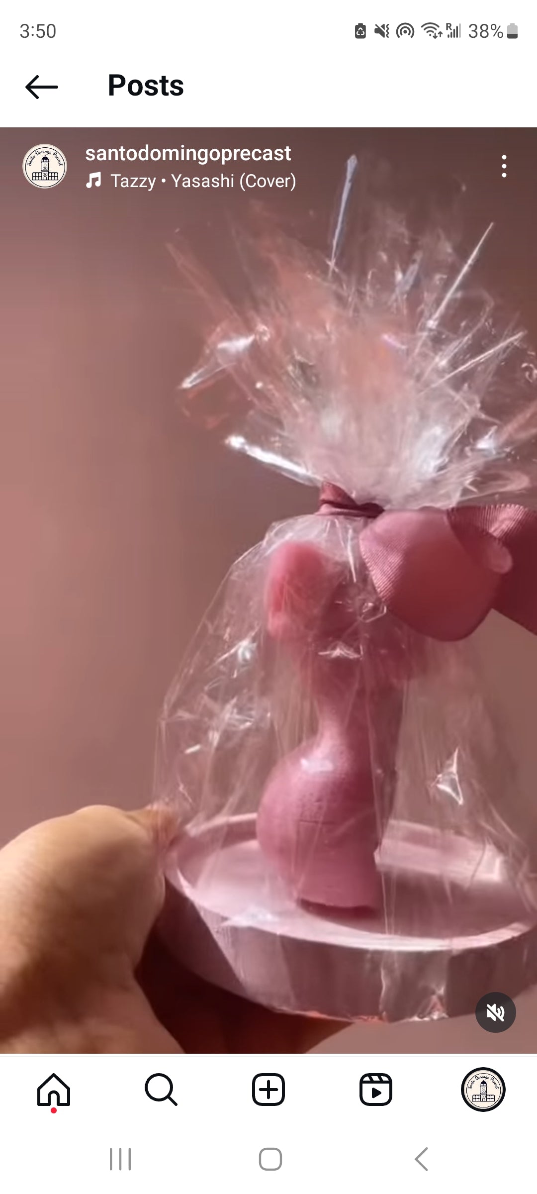 Damas Rosadas
